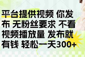 （14224期）发布平台提供视频就有钱 无粉丝要求 不看视频播放量 发布就有钱 一天300+