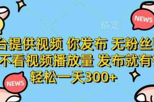 （14317期）平台提供视频 你发布 无粉丝要求 不看视频播放量 发布就有钱 轻松一天300+