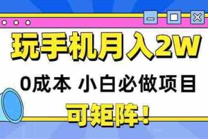 （14879期）玩玩手机月入20000+，0成本小白必做项目，可矩阵