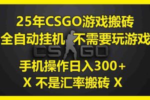 （14902期）25年CSGO游戏搬砖，全自动挂机，不需要玩游戏，手机操作日入300+。(不…