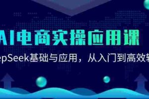 （15075期）AI电商实操应用课：DeepSeek基础与应用，从入门到高效输出