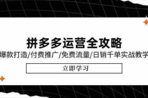 （15085期）拼多多运营全攻略，爆款打造/付费推广/免费流量/日销千单实战教学/6月更新
