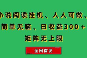 （15413期）小说挂机阅读，人人可做，简单无脑，一天收益300＋矩阵无限上