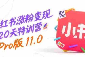 （15432期）小红书涨粉变现120天特训营Pro版11.0：从0到1掌握平台运营,内容制作和变现
