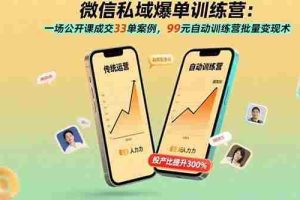 （15843期）微信私域爆单训练营：一场公开课成交33单案例，99元自动训练营批量变现术