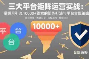 （15841期）三大平台矩阵运营实战：掌握月引流10000+线索的矩阵打法与平台合规策略