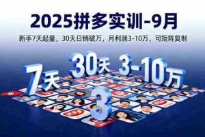 （16008期）2025拼多多实训-9月：新手7天起量,30天日销破万,月利润3-10万,可矩阵复制