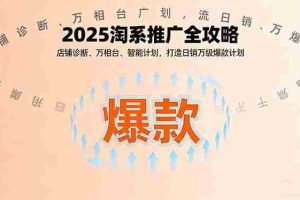 （16067期）2025淘系推广全攻略，店铺诊断、万相台、智能计划，打造日销万级爆款计划