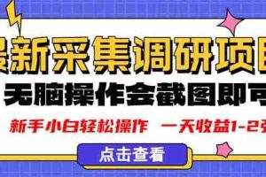 （16155期）新版采集调研项目，截图上传即可，无脑操作，日收益1-2张