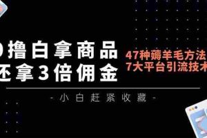（16780期）0撸白拿商品，还拿3倍佣金，47种薅羊毛方法，7大平台全方位引流技术教学，精专月入过万