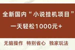 （16833期）全新国内小说挂G项目，多窗口无脑跑，一天轻松1k+，特别省心【揭秘】